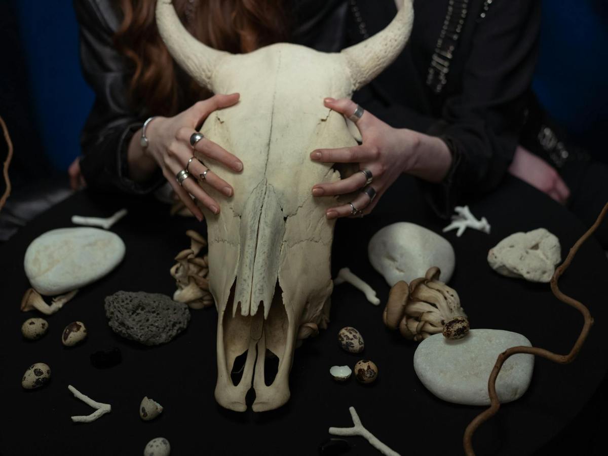 A canibalização e o consumo dos seres&nbsp;vivos